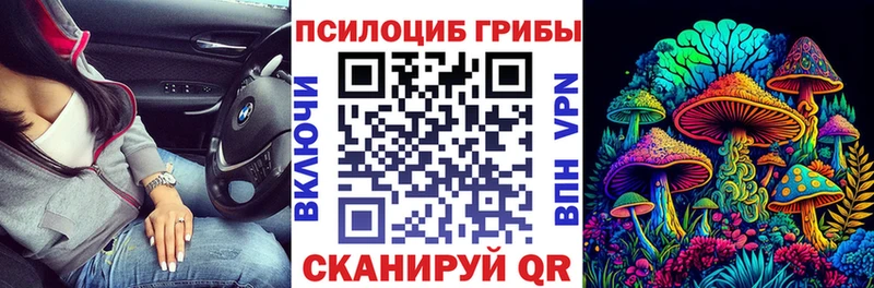 mega зеркало  Тавда  Псилоцибиновые грибы MAGIC MUSHROOMS  купить наркотики цена 