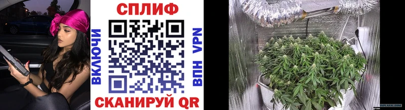 Конопля VHQ  Тавда 